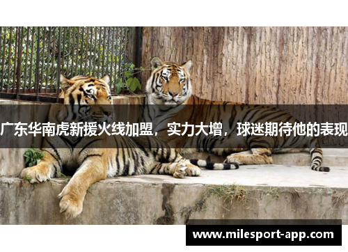 广东华南虎新援火线加盟，实力大增，球迷期待他的表现